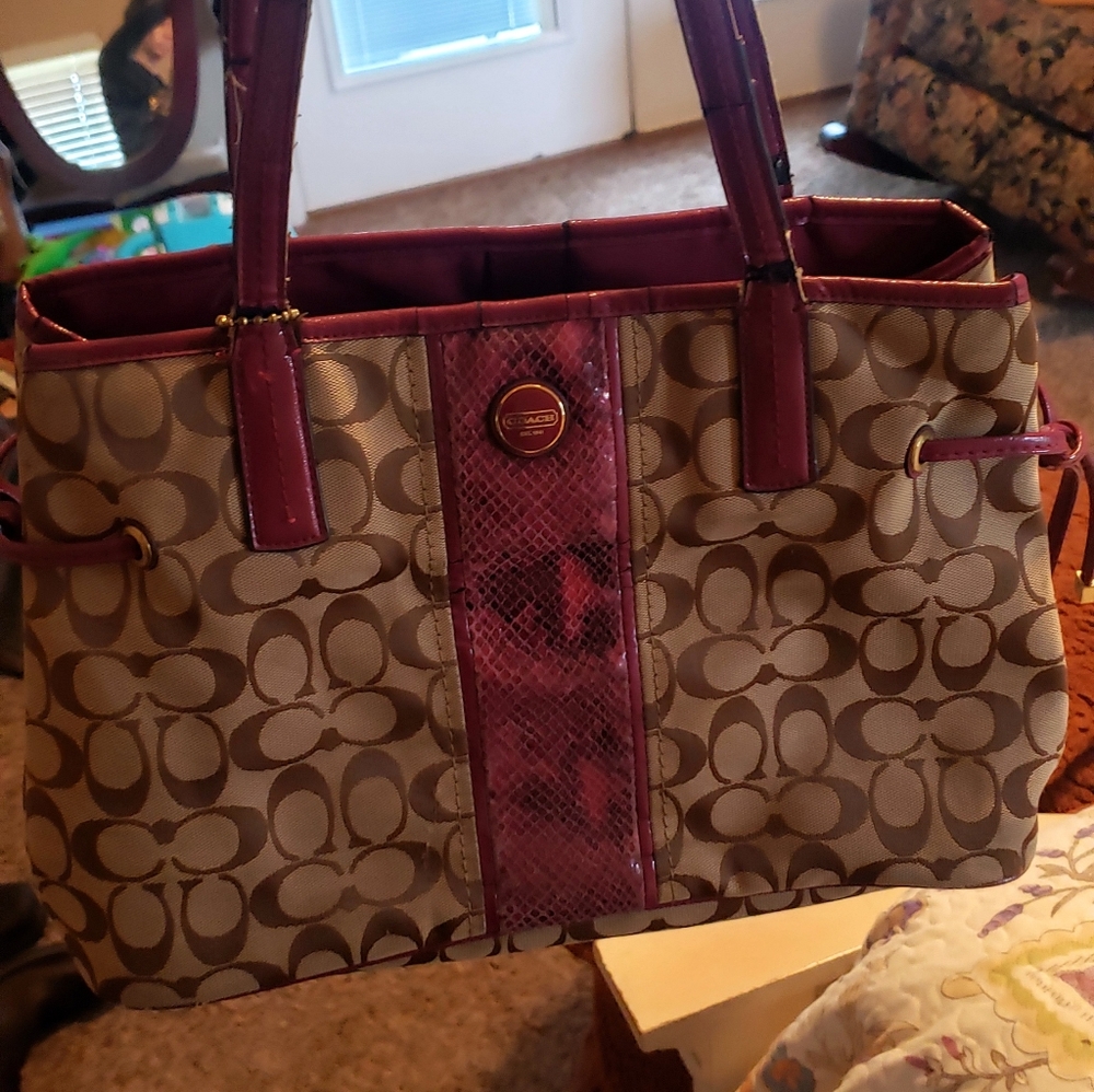 Coach Signature Python Stripe Bag - image 1